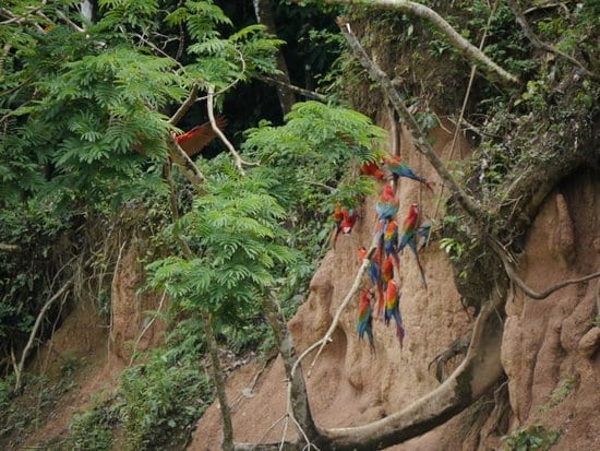 Refugio Amazonas