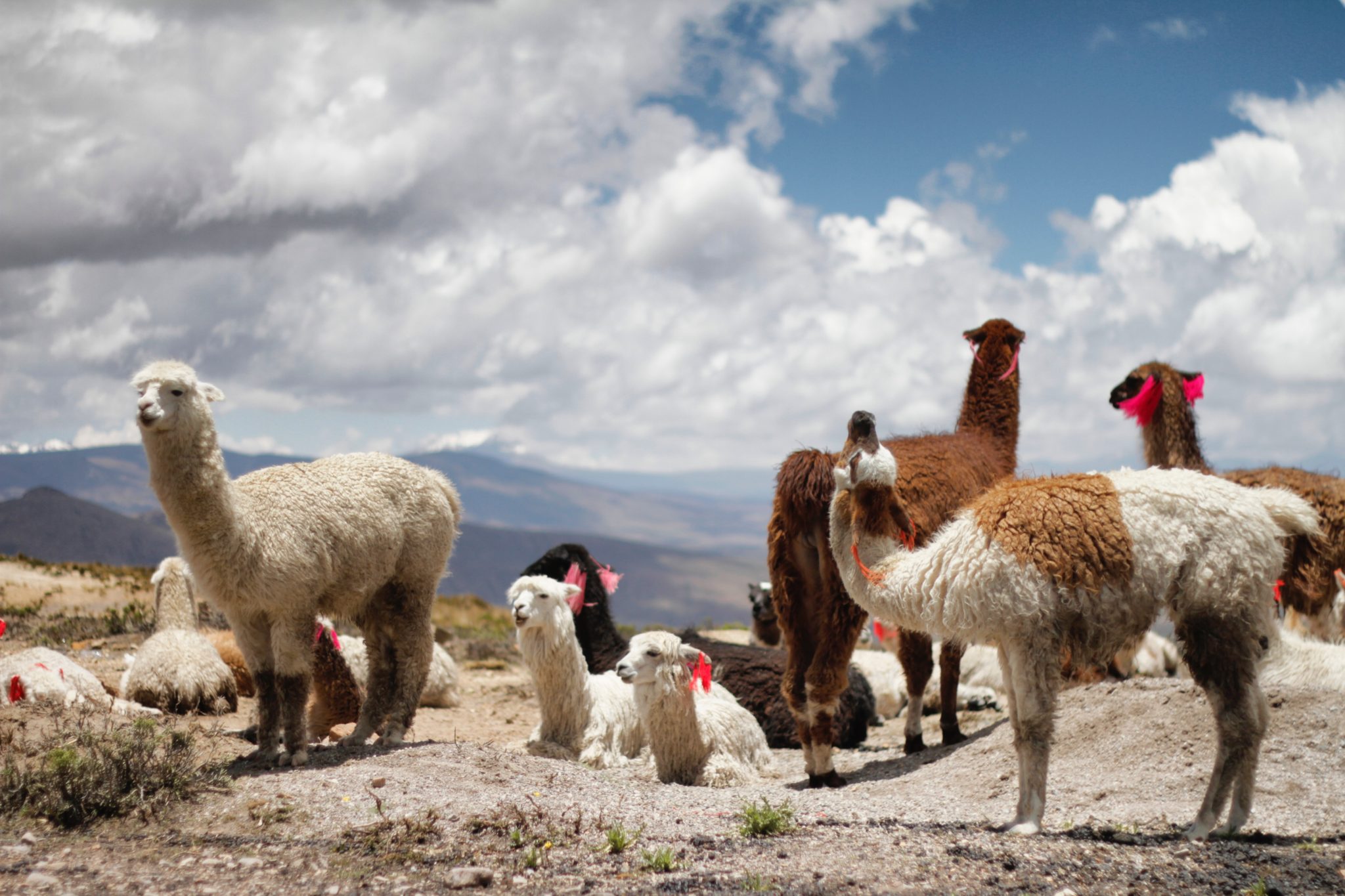 Best Tips for Peru Travel