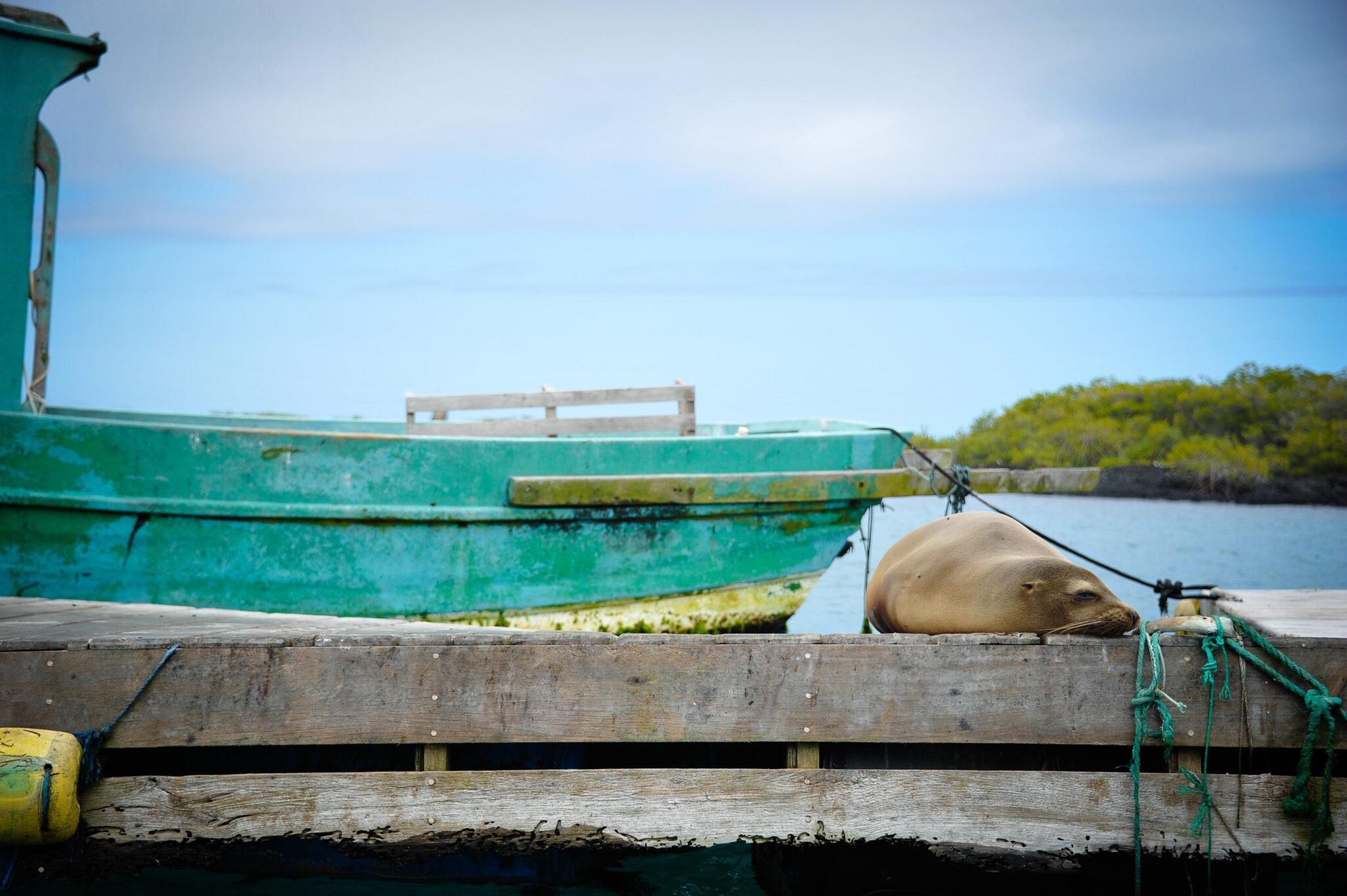 Galapagos Vacation Packages by Rein Ketelaars Isabela Island, Galapagos , Ecuador