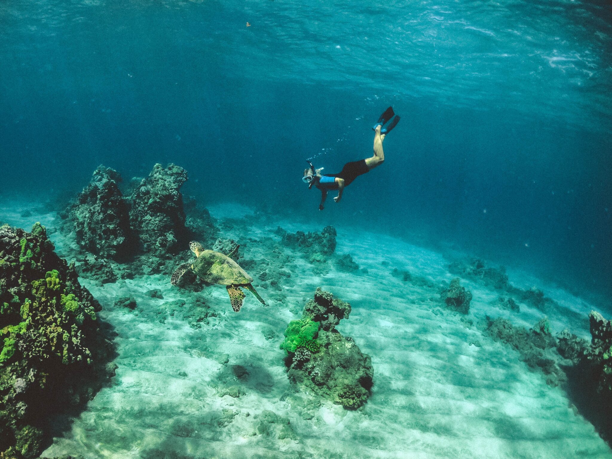 Water Activities by Subtle Cinematics Galapagos Water activities