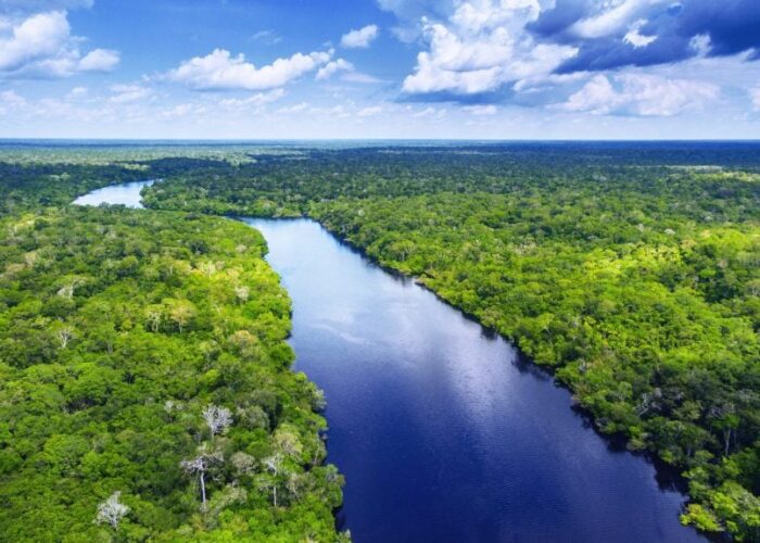 puerto-maldonado-rainforest
